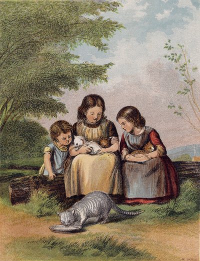 De Huisdieren Kittens door English School